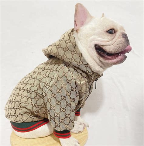 Gucci jacket for dogs